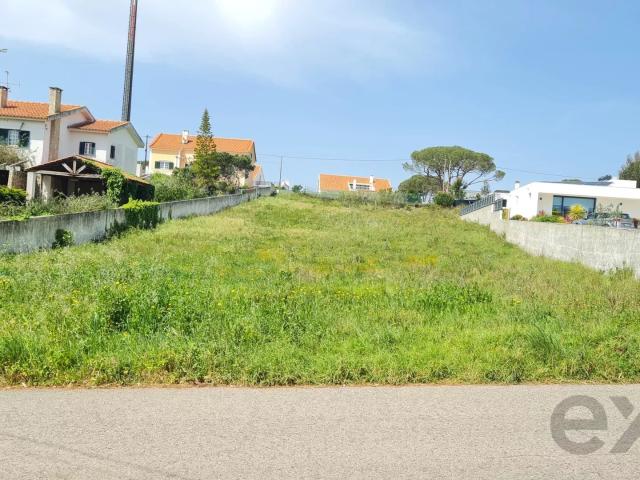 Terreno 1716 m2 para construção Nadadouro