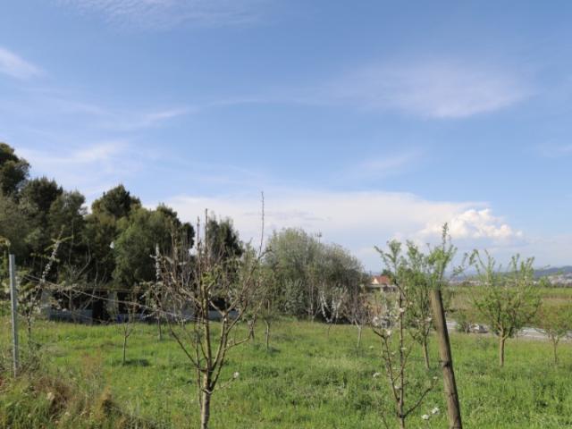Terreno de Construção Habitacional | 10000m²