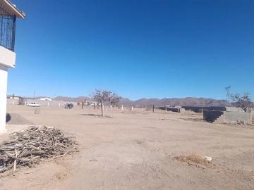 Terreno 1000 mts sacramento