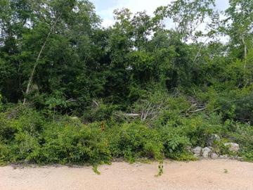 Terreno 10*50 en Senda Ucú, Yucatán