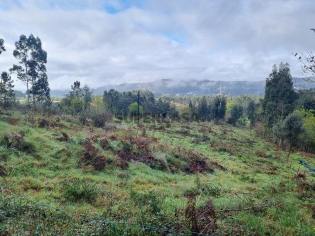 Terreno 10.350 m2 para construção