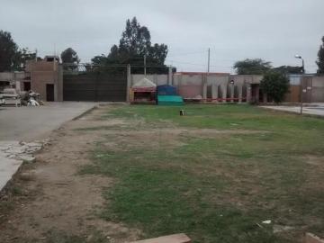 Terreno: 11,200 m2, sub estacion propia de 120 kva, pozo propio