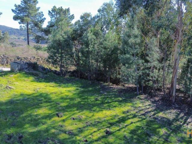 Terreno 1.3 Ha com Poço em Aranhas, Penamacor | ?24.900 | 26064087857