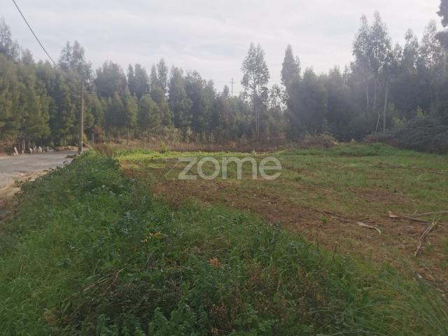 Terreno 1,3ha, para loteamento ou construção de escola, Pedroso, Gaia