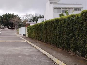 Terreno 1,000m² dentro del Fracc. Real del Bosque, zona Ánimas