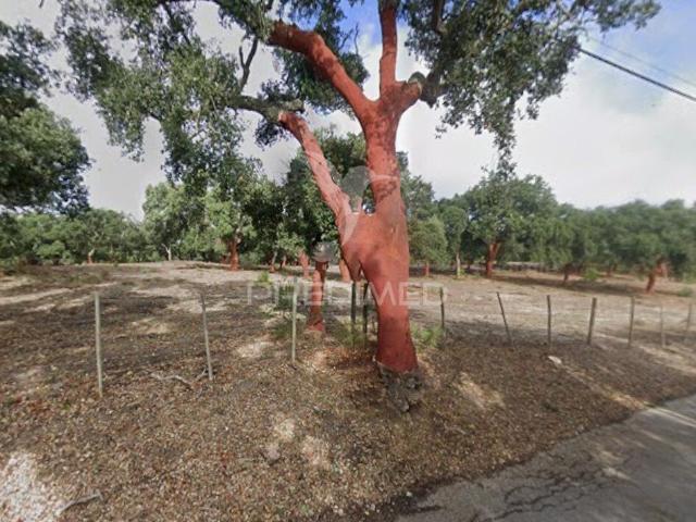 Terreno 1.400 m² com Projeto Aprovado para 2 Moradias T2 | Setúbal