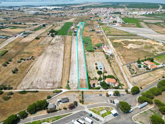 Terreno 1.6 Ha Samouco Alcochete