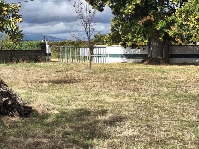 Terreno 1 hectare em Parada, Bragança Perto de Acessos e Serviços