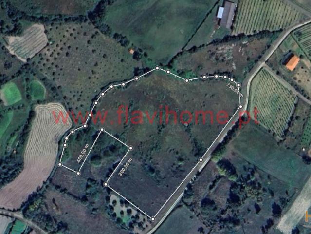Terreno | 26064059332