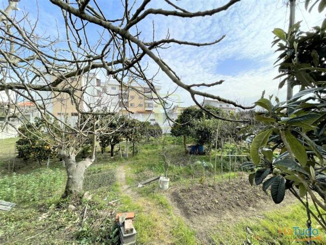 Terreno | 26064084733