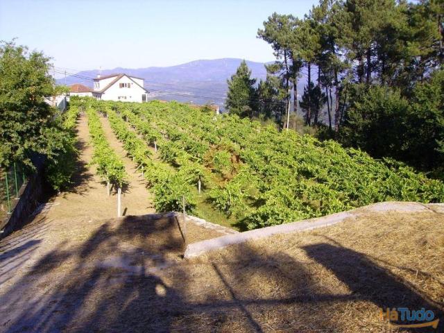 Terreno | 26063250398