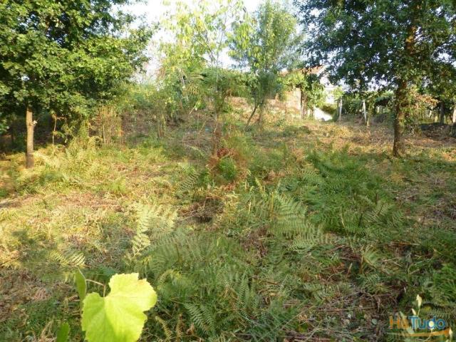 Terreno | 26063250404
