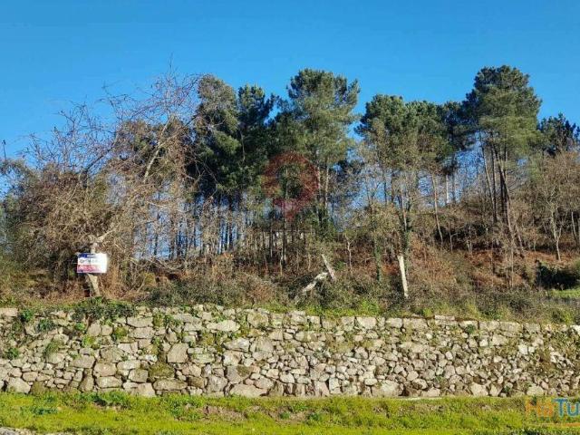 TERRENO | 26063250592
