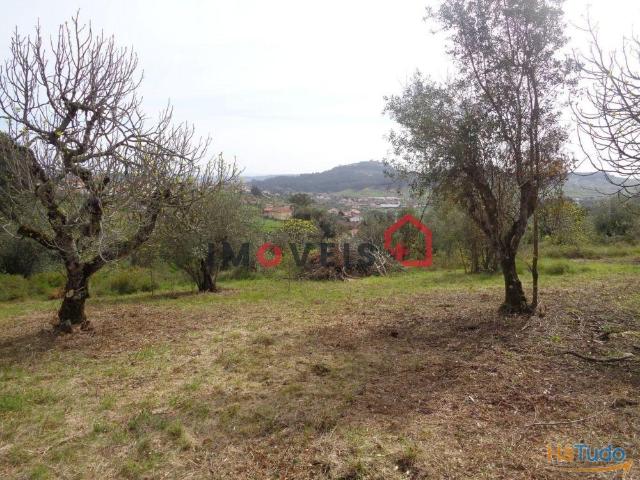 Terreno | 26063250649