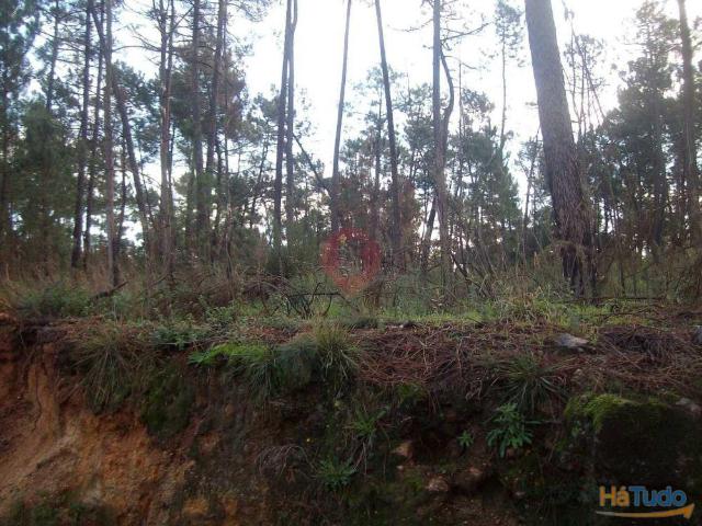 Terreno | 26063556212
