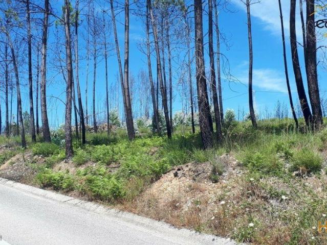Terreno | 26063798270