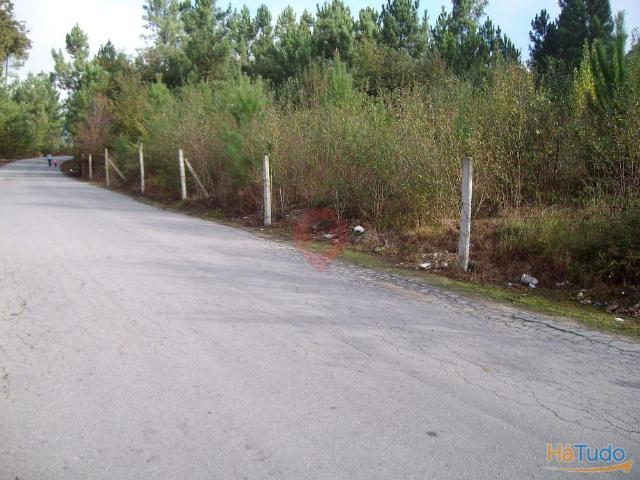 Terreno | 26063917706