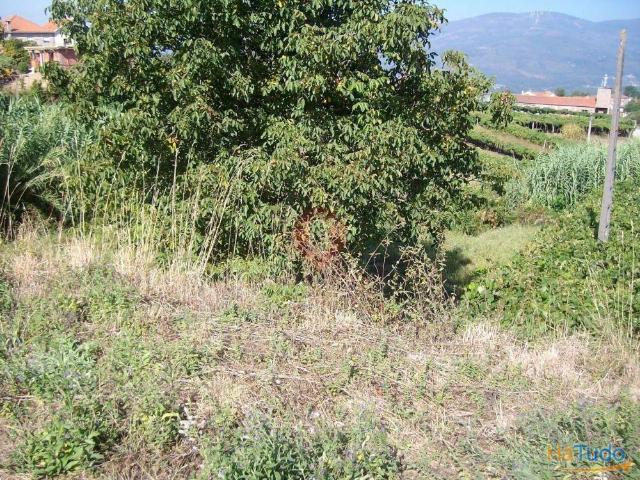 Terreno | 26063917715