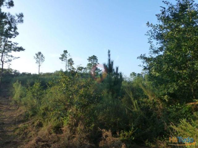 Terreno | 26063917735