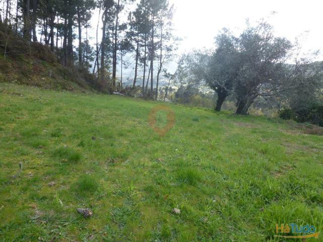 Terreno | 26063917908