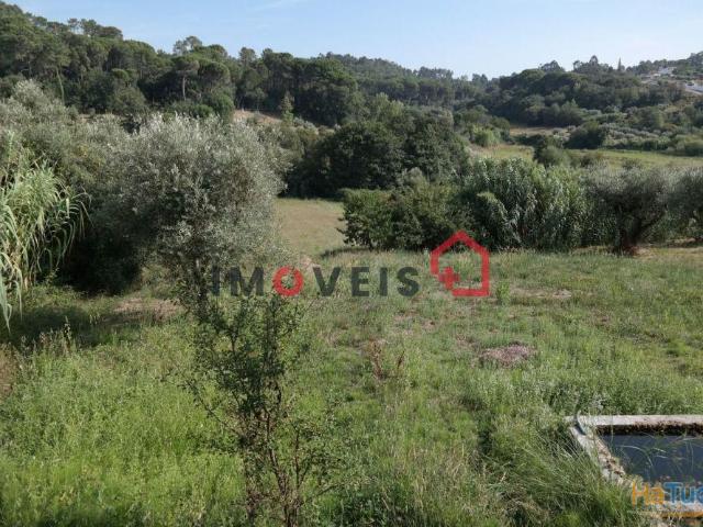 Terreno | 26073250658