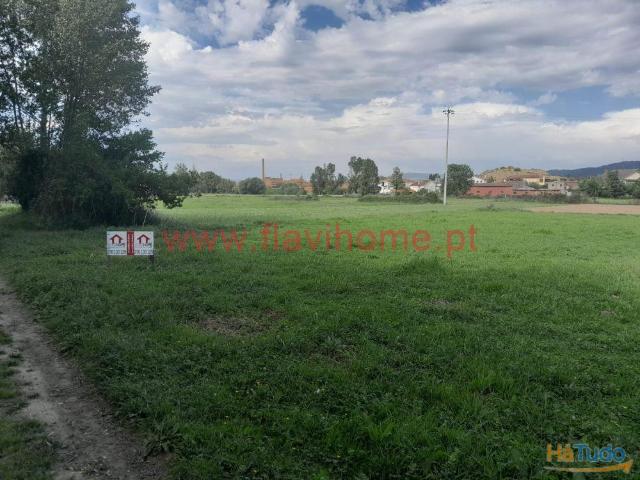 Terreno | 26073555679