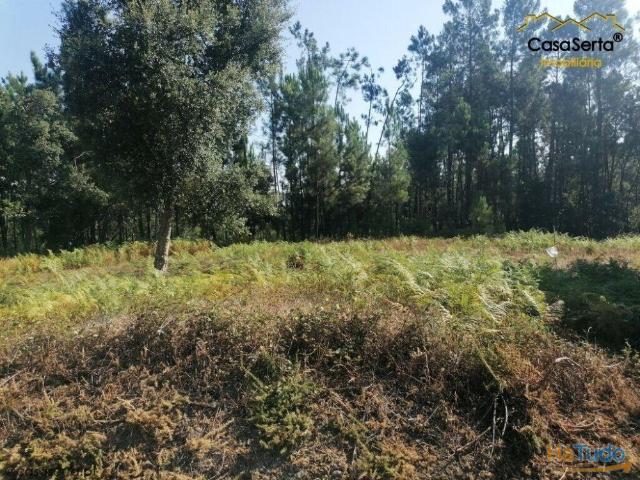 Terreno | 26073799687