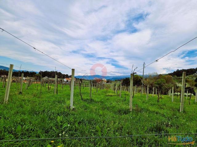 Terreno | 26084076318