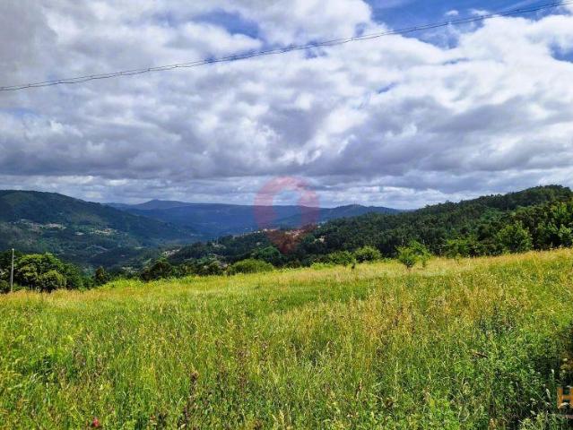 Terreno | 26084091809