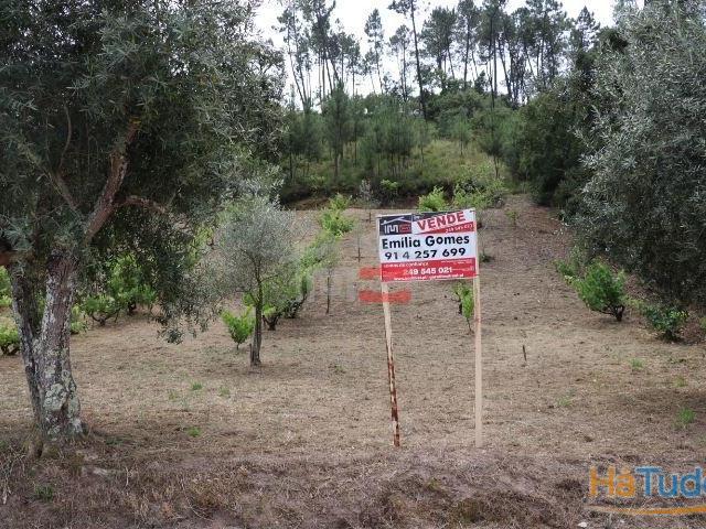 Terreno | 26082521841