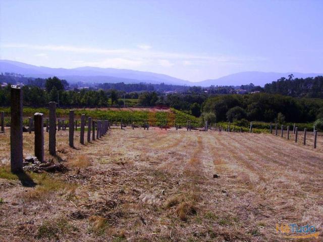 Terreno | 26083250312
