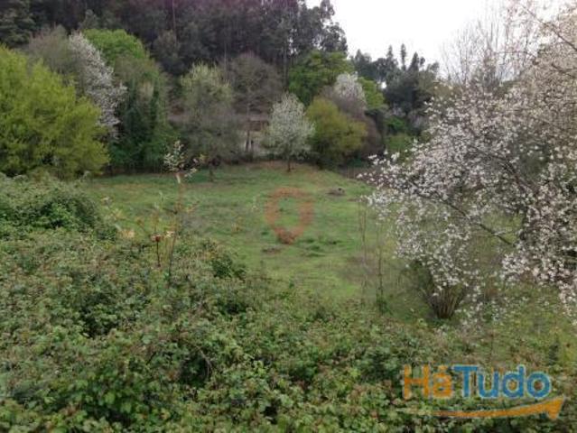 Terreno | 26083250344
