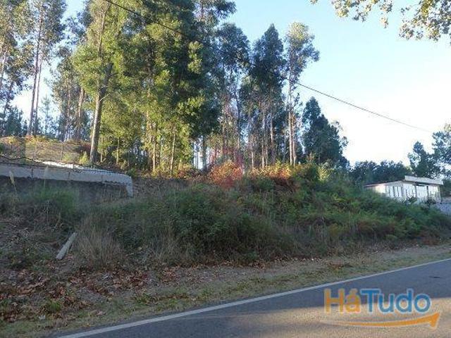 Terreno | 26083250405