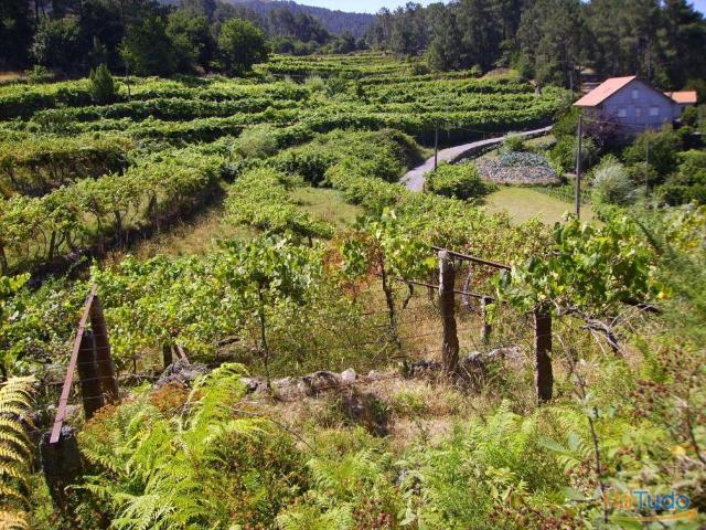 Terreno | 26083250426
