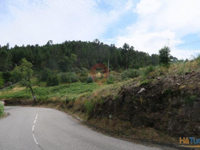 Terreno | 26083250443