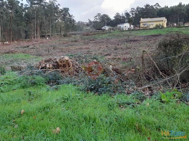 Terreno | 26083250569