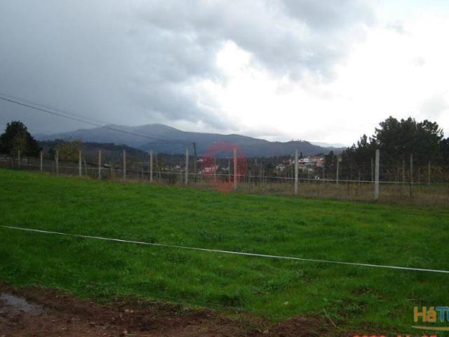 Terreno | 26083465049