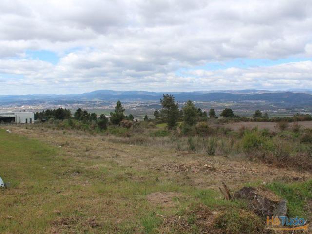 Terreno | 26083518670