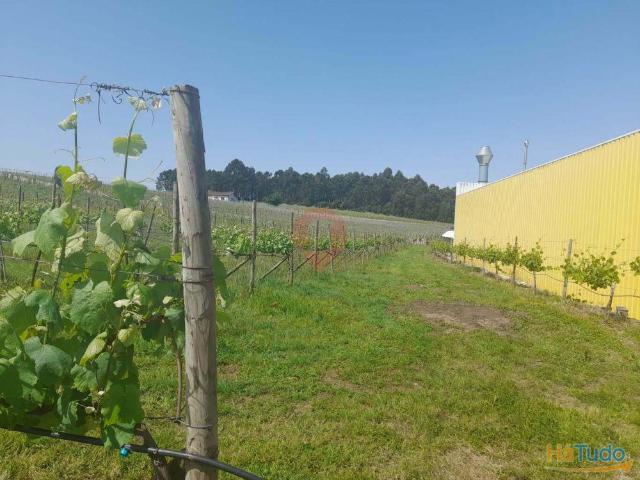 Terreno | 26083534550