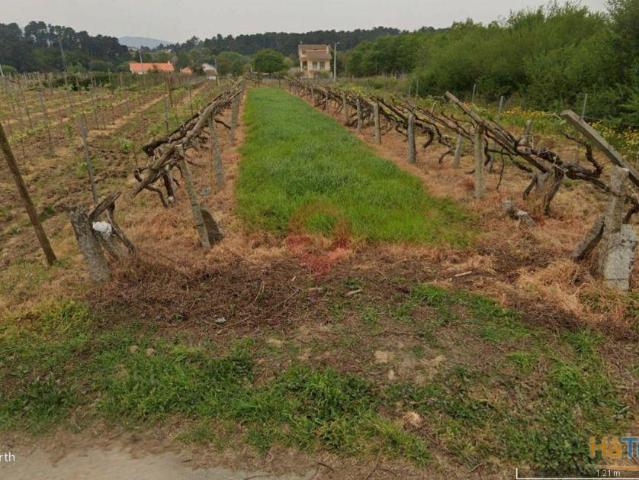 Terreno | 26083534553