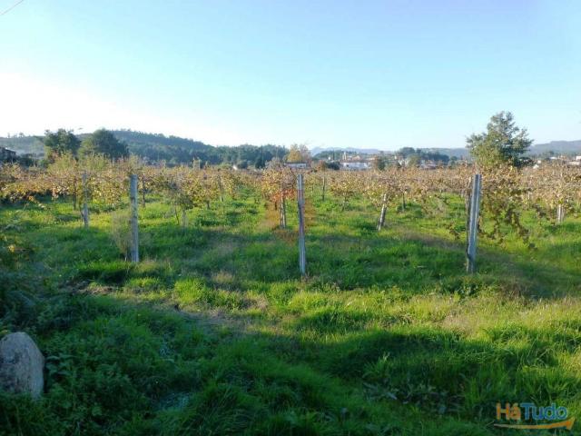 Terreno | 26083555550