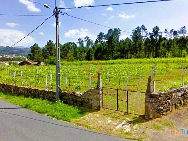 Terreno | 26083676009