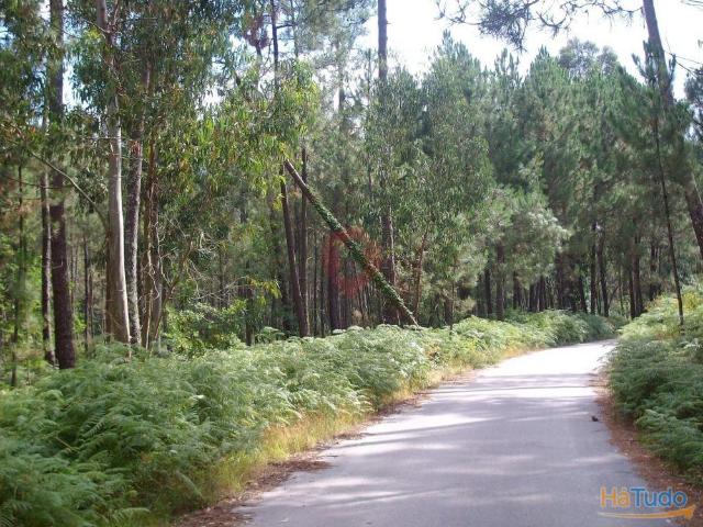 Terreno | 26083678473