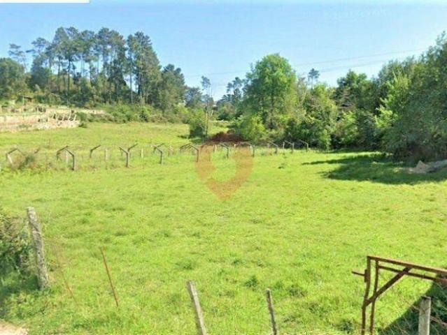 Terreno | 26083698836