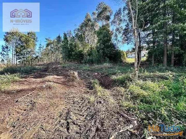 Terreno | 26083764176