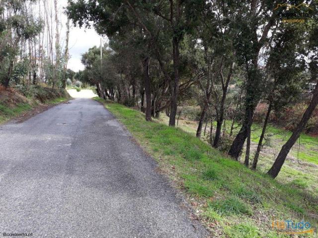 Terreno | 26083895182