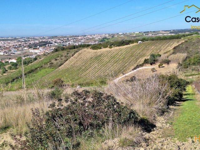 Terreno | 26083897269