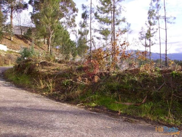Terreno | 26083917708