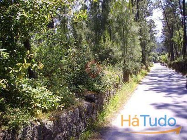 Terreno | 26083917703