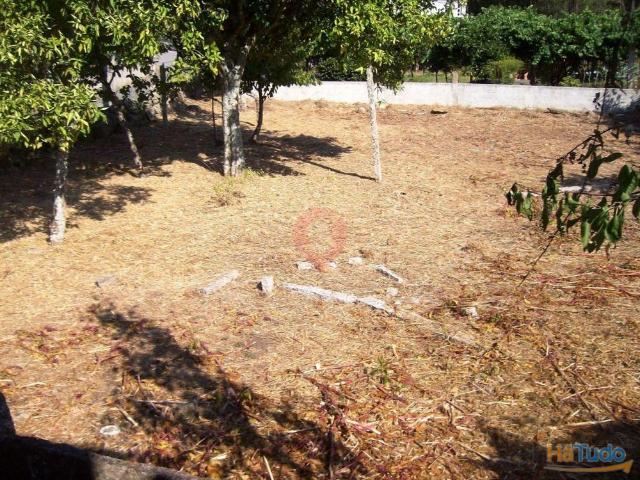 Terreno | 26083917717